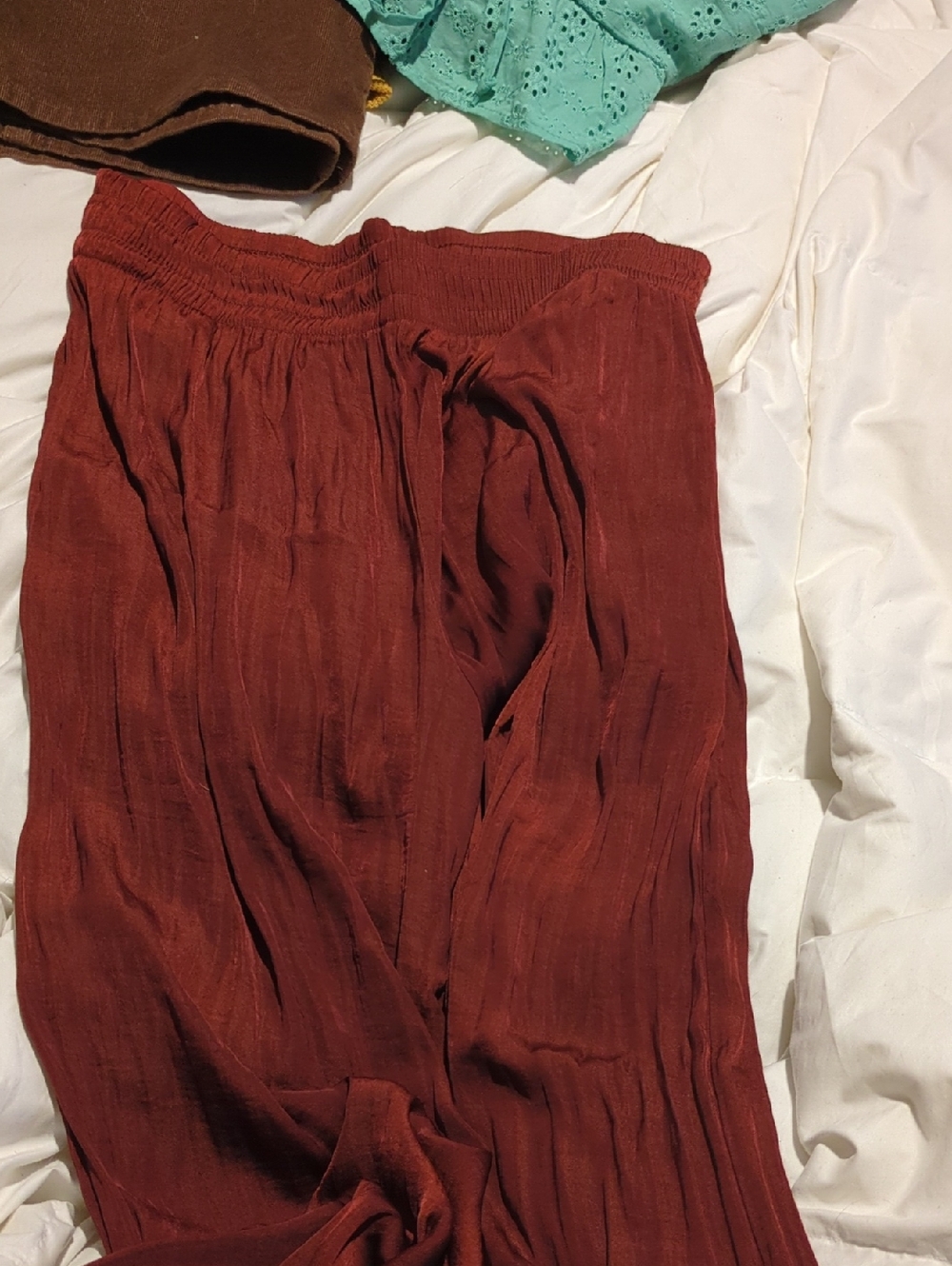 Zara Burnt Orange Pleated Wide Legged Pants